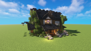 Minecraft House Schematic (litematic)
